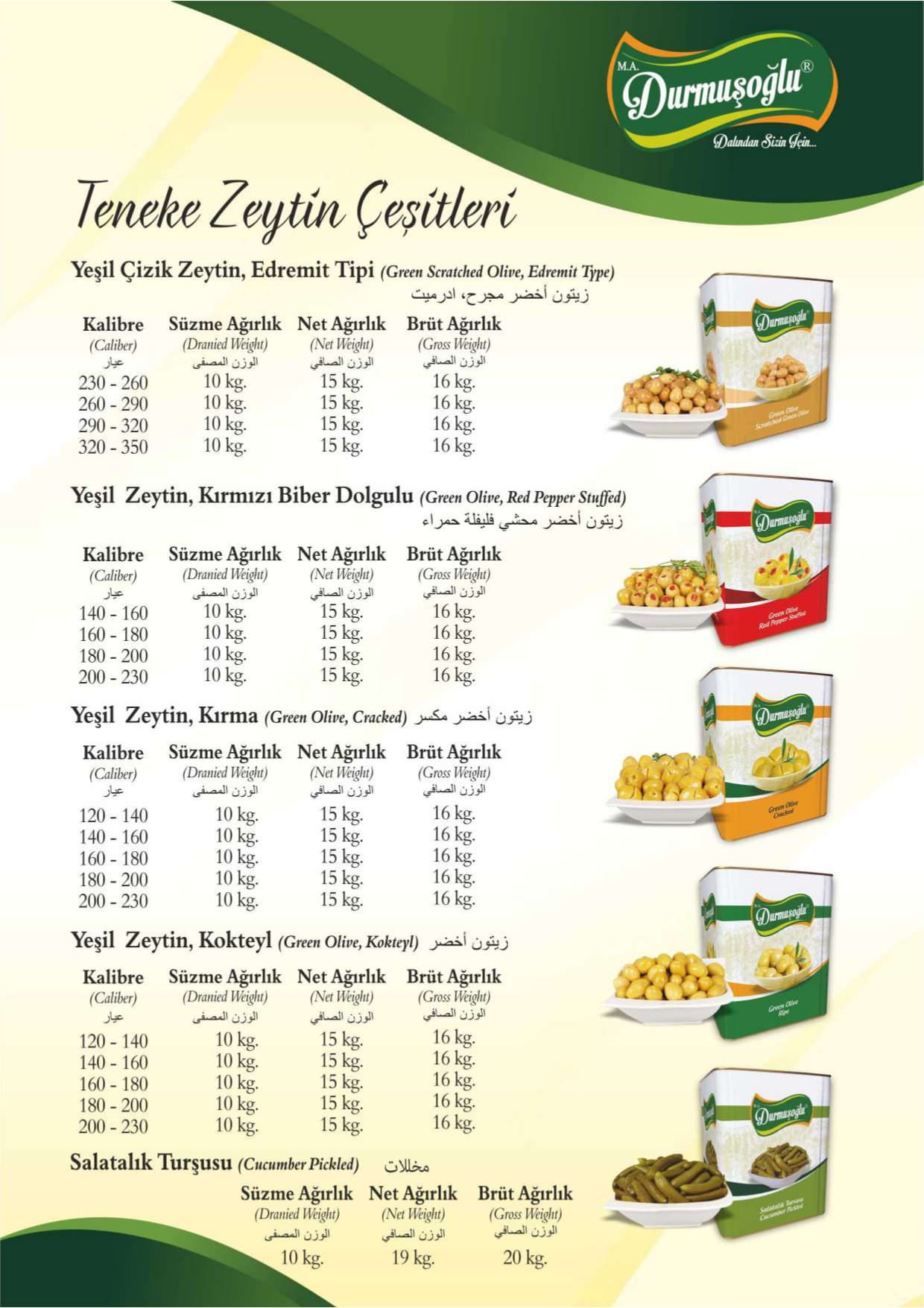 Katalog sayfa 10